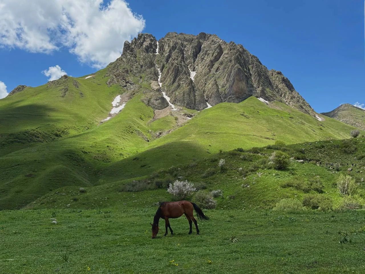 Севажайр